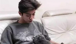 鹿晗女友爆料后续视频播放,揭秘恋情细节与幕后真相